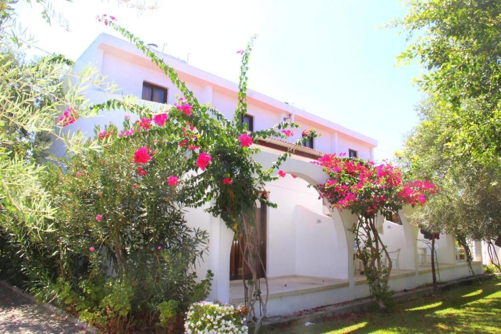 Bare Hill Holiday Apartments Krini Kültér fotó