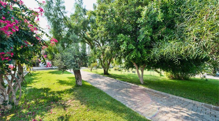 Bare Hill Holiday Apartments Krini Kültér fotó