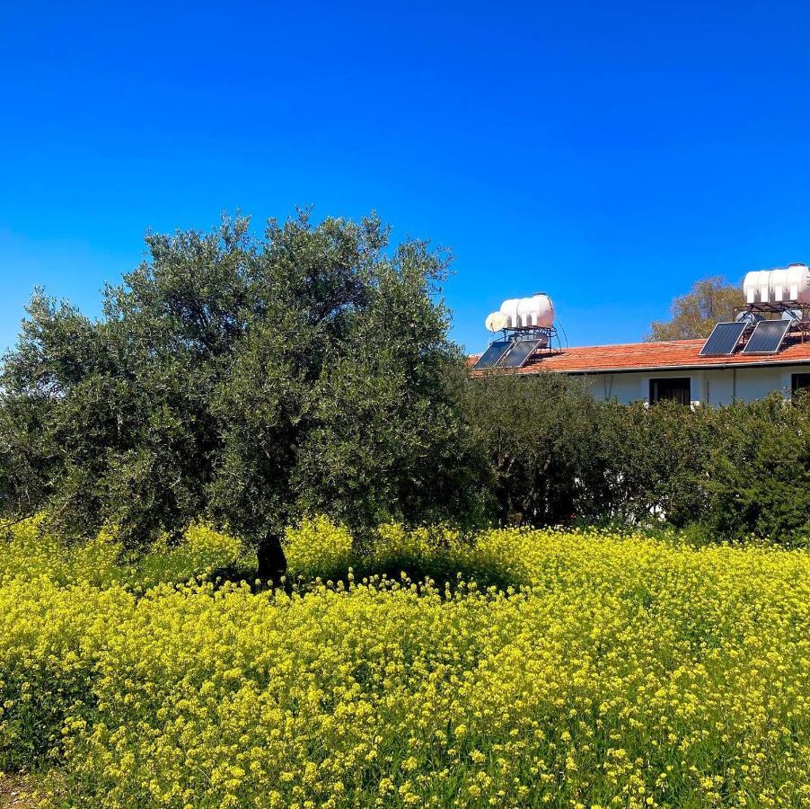 Bare Hill Holiday Apartments Krini Kültér fotó