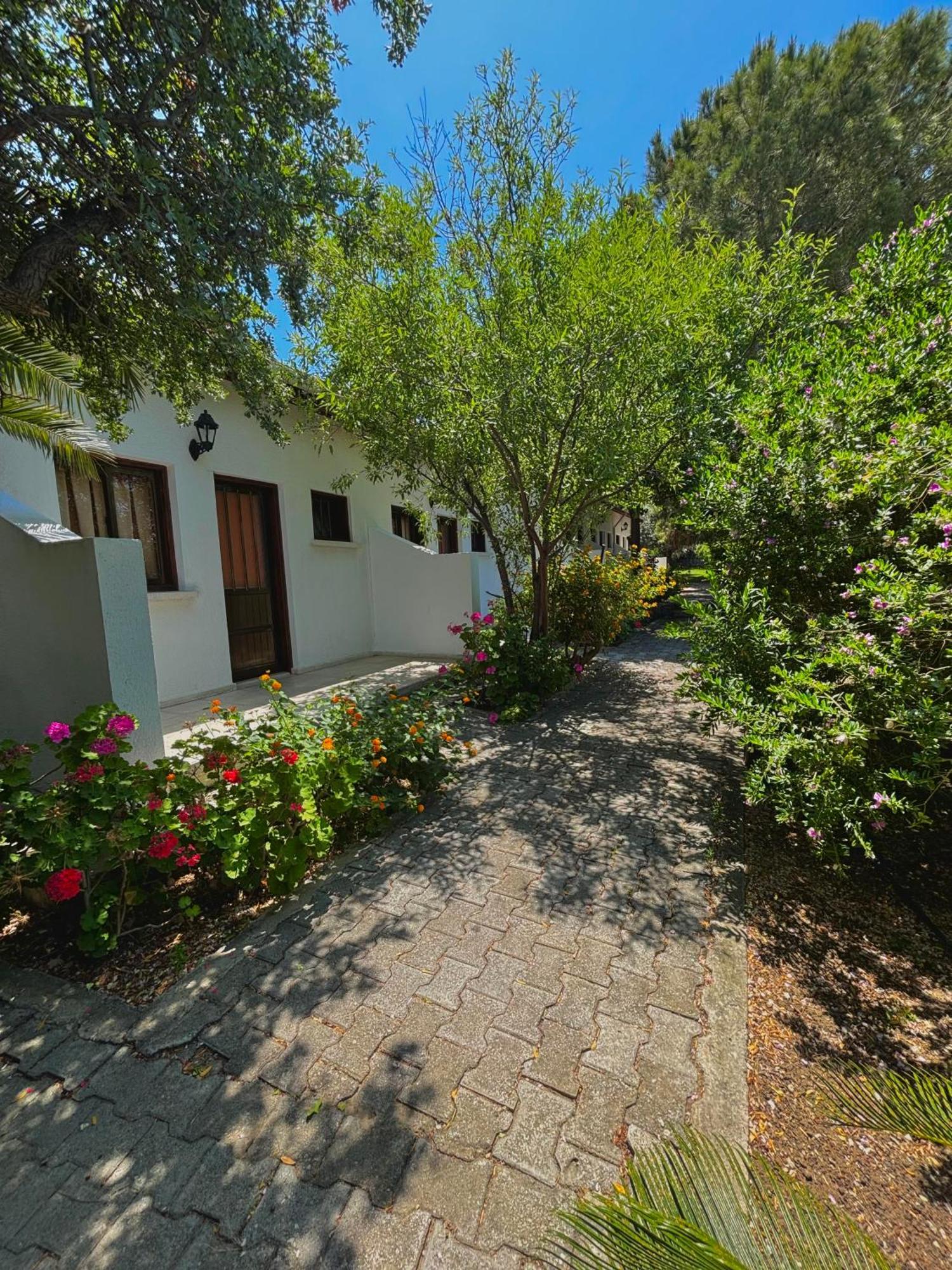 Bare Hill Holiday Apartments Krini Kültér fotó